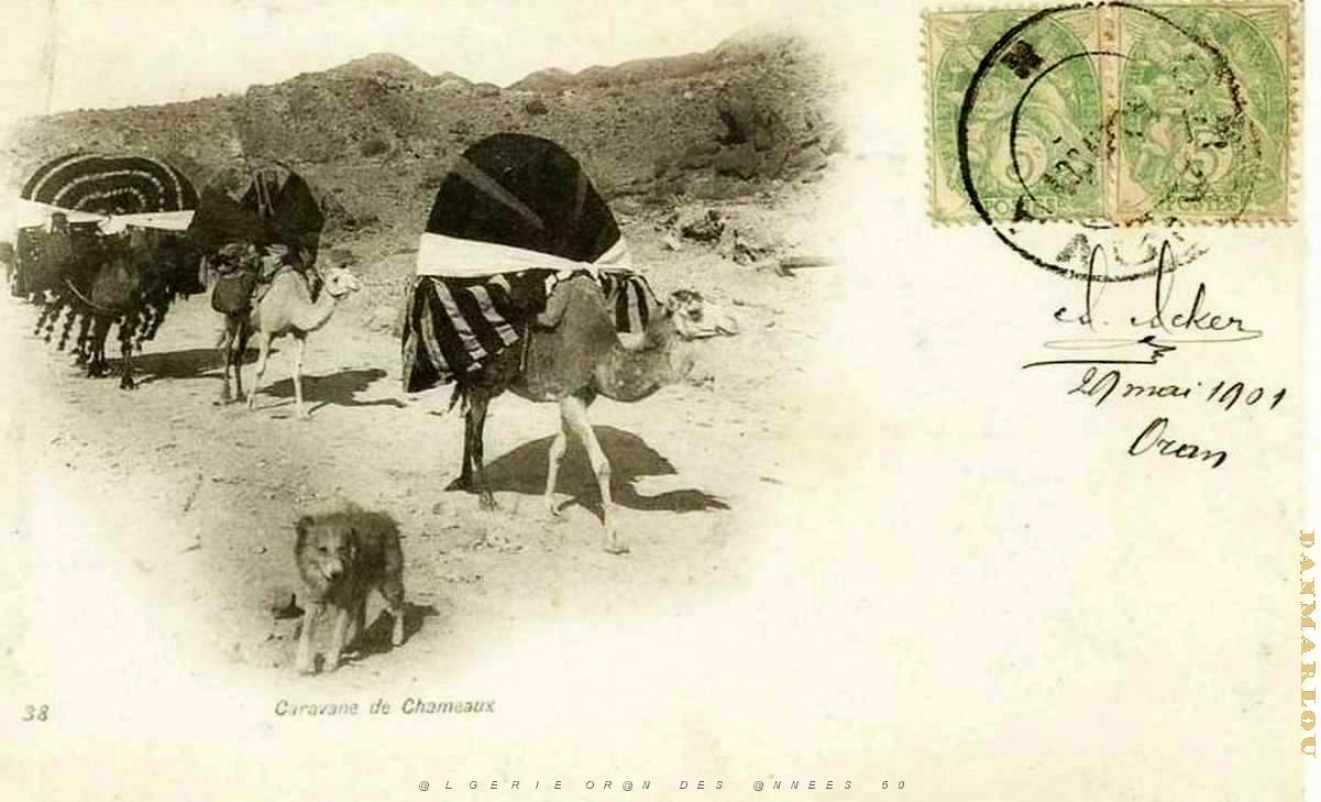 Sud oranais 048.jpg